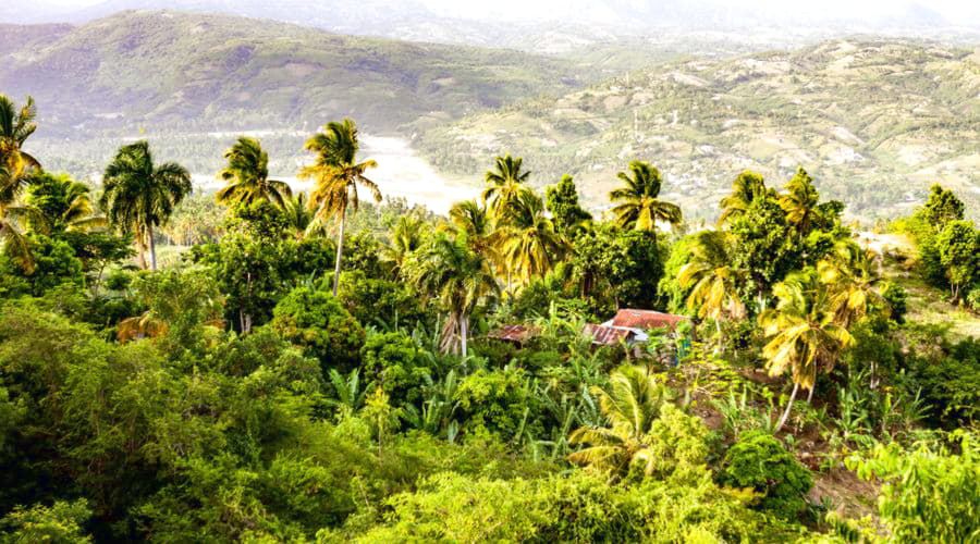 Die beliebtesten Fahrzeugoptionen in Jacmel